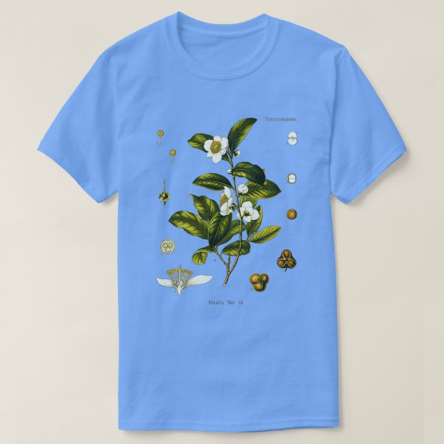 Tea-växten teckning Camellia Sinensis T Shirt (Design framsida)