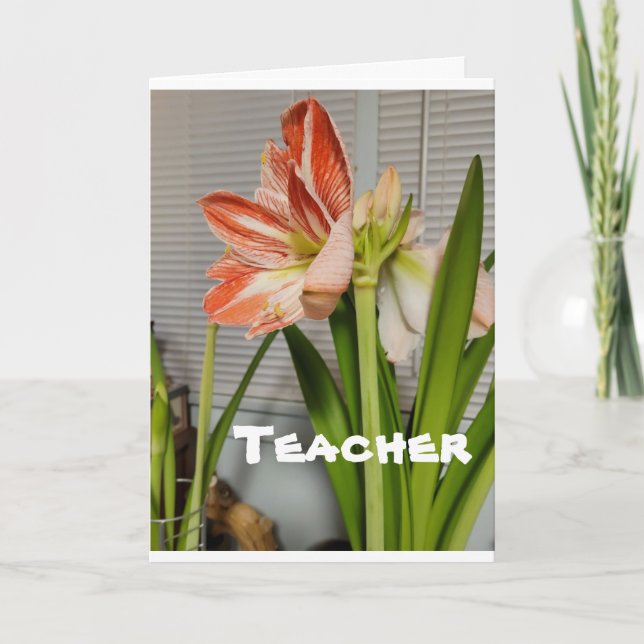 **TEACHER** VID PÅSK-PÅSK-KORT HELGKORT (Framsida)