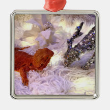 Teak the Bearded Dragon Peace on Earth