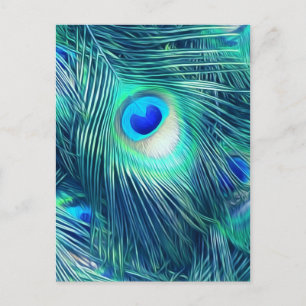 Teal Aquamarine Peacock Feather Vykort