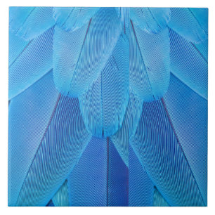 Teal Blue Feathers of the Macaw Parrot Kakelplatta