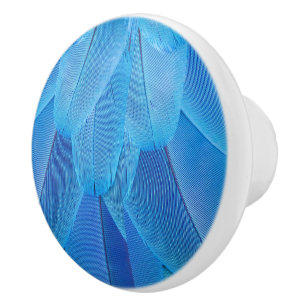 Teal Blue Feathers of the Macaw Parrot Knopp