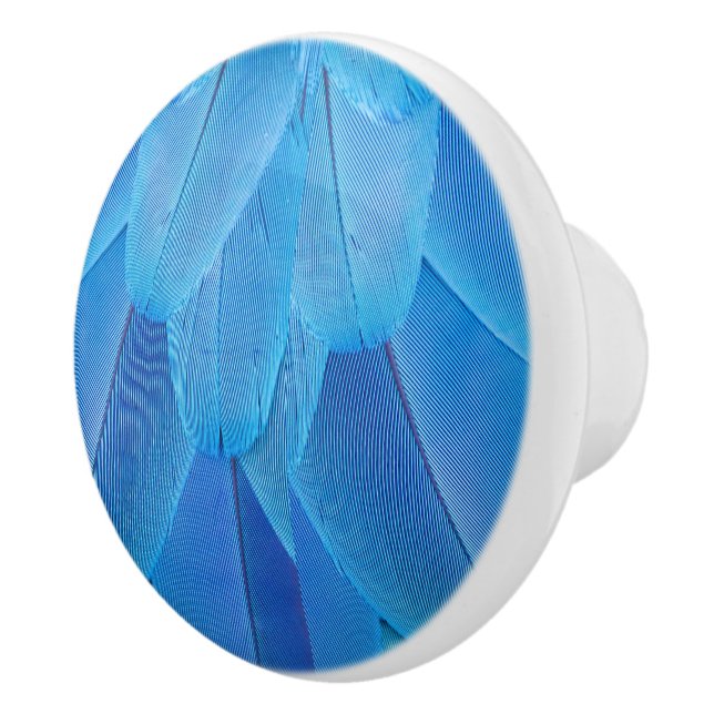 Teal Blue Feathers of the Macaw Parrot Knopp (Höger)