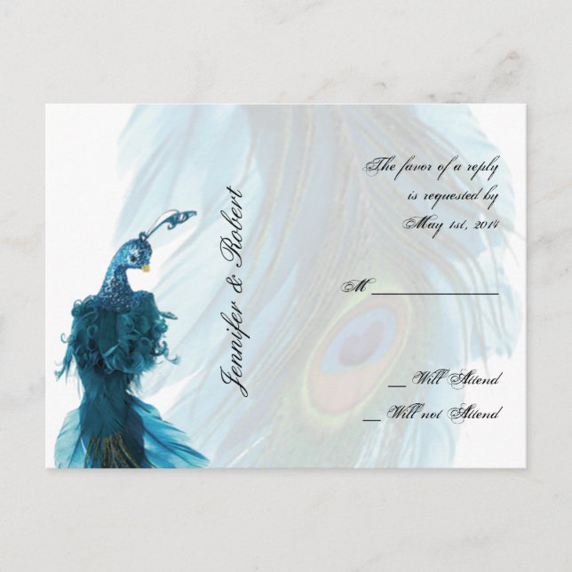 Teal Blue Peacock Plume OSA Postcard Inbjudan Vykort (Framsida)
