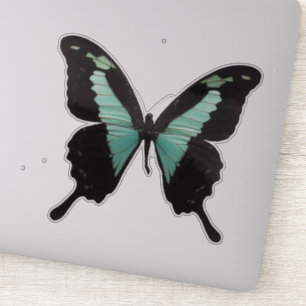 Teal Butterfly Klistermärken