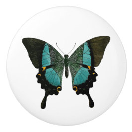 Teal Butterfly Knopp