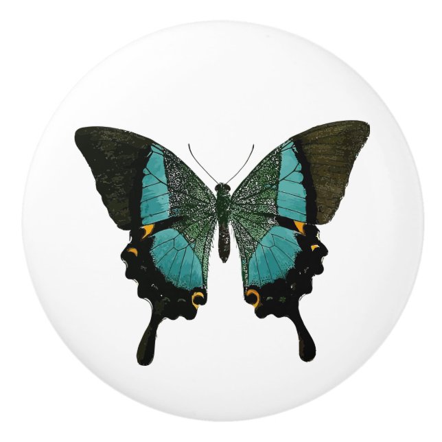 Teal Butterfly Knopp (Framsidan)