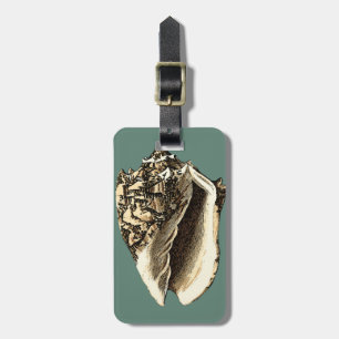 Teal Conch Snäcka Bagagebricka