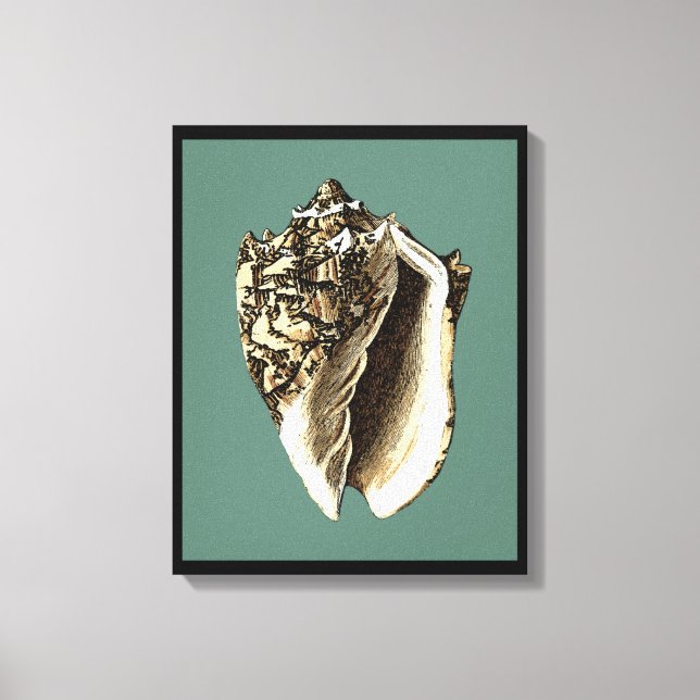 Teal Conch Snäcka Canvastryck (Framsida)