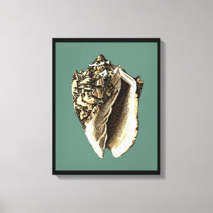 Teal Conch Snäcka Canvastryck