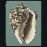 Teal Conch Snäcka iPad Skydd<br><div class="desc">I den här vackra, klassiska snäckan för svart och vitt konch kan du se skuggningen av ett naturligt årskal mycket vass och tydlig. Man kan se sig själv på strandjakten efter snäckor eller i sanden. Skaffa den här snäckan för tealkonst som är stilt för nautiskt bruk på dina favoritprodukter idag!...</div>