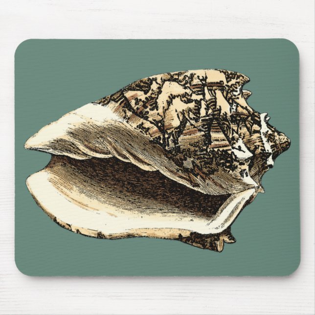 Teal Conch Snäcka Musmatta (Framsidan)