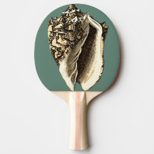 Teal Conch Snäcka Pingisracket