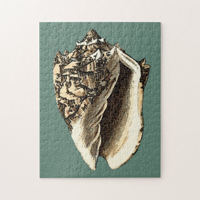 Teal Conch Snäcka Pussel (Vertikal)
