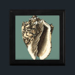 Teal Conch Snäcka Smyckeskrin<br><div class="desc">I den här vackra, klassiska snäckan för svart och vitt konch kan du se skuggningen av ett naturligt årskal mycket vass och tydlig. Man kan se sig själv på strandjakten efter snäckor eller i sanden. Skaffa den här snäckan för tealkonst som är stilt för nautiskt bruk på dina favoritprodukter idag!...</div>