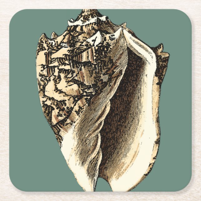 Teal Conch Snäcka Underlägg Papper Kvadrat (Framsidan)