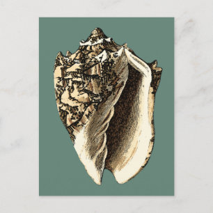 Teal Conch Snäcka Vykort