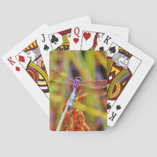 Teal Dragonfly på sege Spel Kort