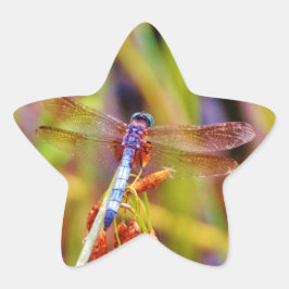 Teal Dragonfly på sege Stjärnformat Klistermärke