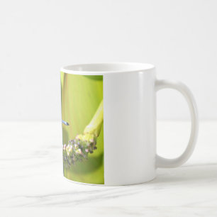 Teal eyed Dragonfly Kaffemugg