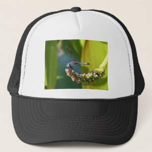 Teal eyed Dragonfly Keps