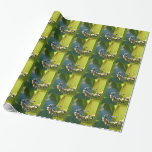 Teal eyed Dragonfly Presentpapper