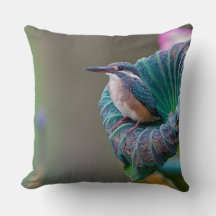 Teal Feather Wildlife Bird Photography