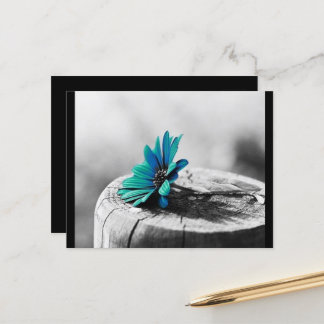 Teal Flower Vykort