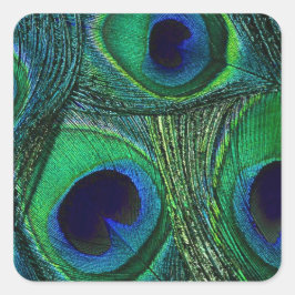 Teal Green Blue Peacock Feather Stickers / Seals Fyrkantigt Klistermärke