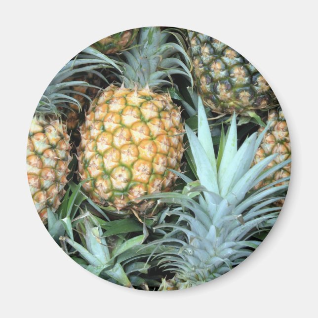 Teal, Grönt och gyllene hawaiiska ananas Magnet (Framsidan)