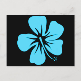 Teal Hibiscus Vykort