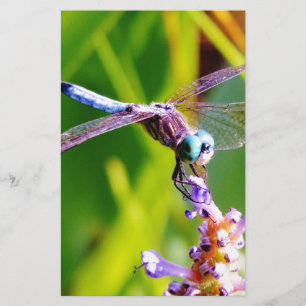 Teal & lila Dragonfly Brevpapper