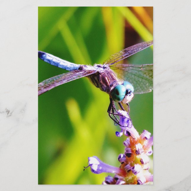 Teal & lila Dragonfly Brevpapper (Framsida)