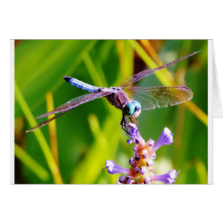Teal & lila Dragonfly Hälsningskort