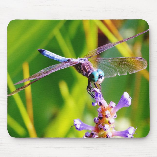 Teal & lila Dragonfly Musmatta (Framsidan)