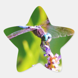 Teal & lila Dragonfly Stjärnformat Klistermärke