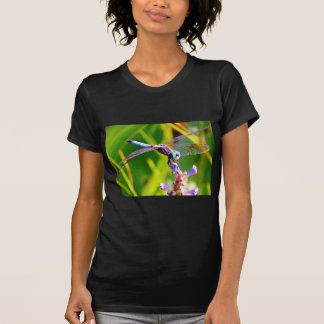 Teal & lila Dragonfly T-shirt