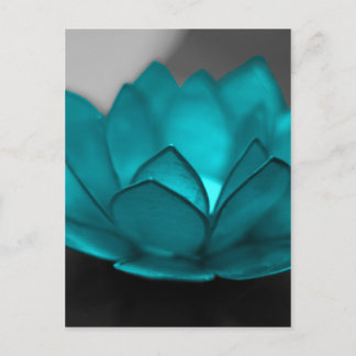 Teal Lotus Vykort