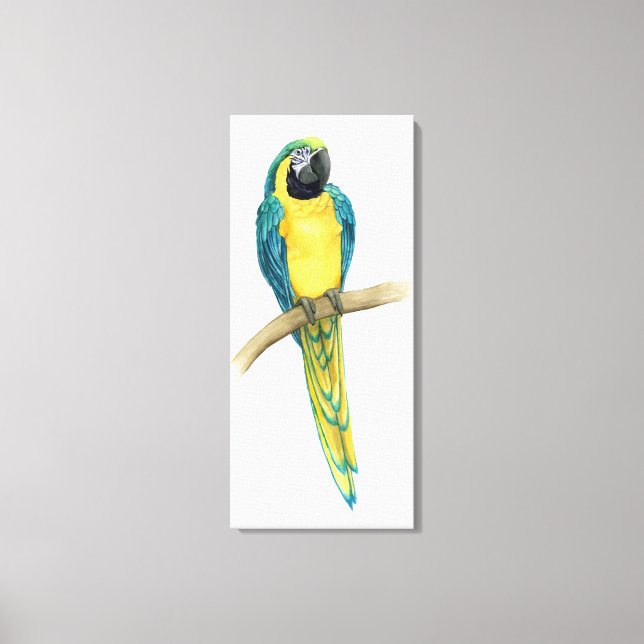 Teal Macaw Canvastryck (Framsida)