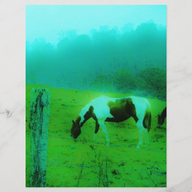 Teal mist Reto färgad målad pony Horse (Framsida)