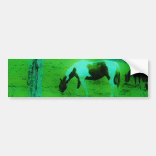 Teal mist Reto färgad målad pony Horse Bildekal
