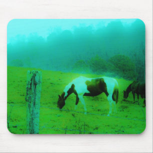 Teal mist Reto färgad målad pony Horse Musmatta