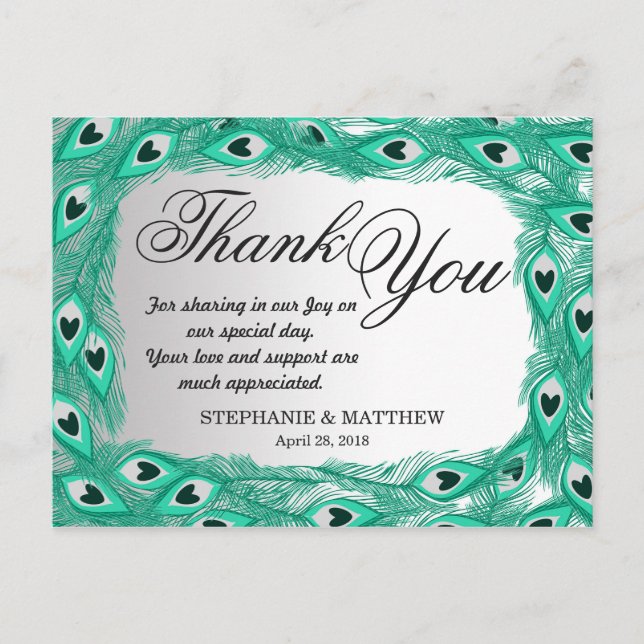 Teal Peacock Feathers on White to Grått Gradient Vykort (Framsida)