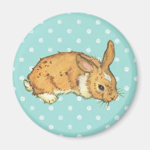 Teal Polka Dot bunny
