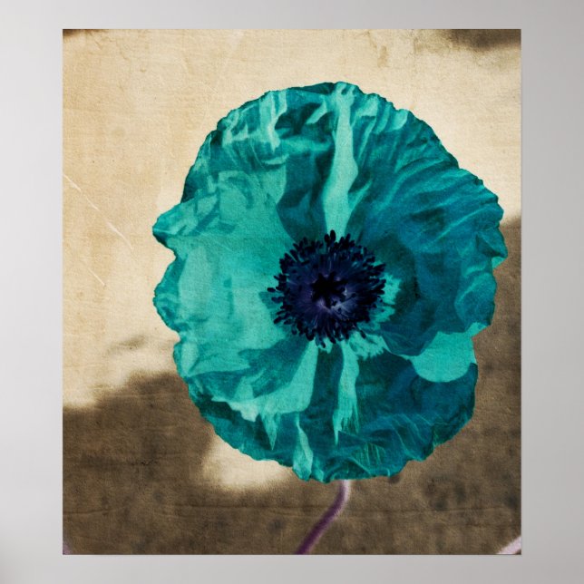 Teal Poppy Poster (Framsidan)
