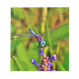 Teal Rainbow Dragonfly Anteckningsblock