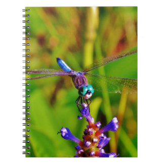 Teal Rainbow Dragonfly Anteckningsbok