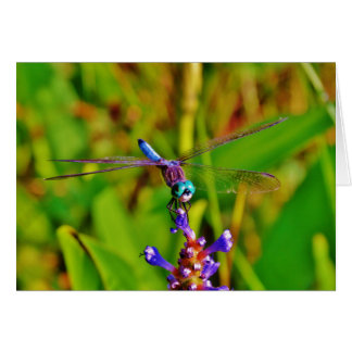 Teal Rainbow Dragonfly Hälsningskort