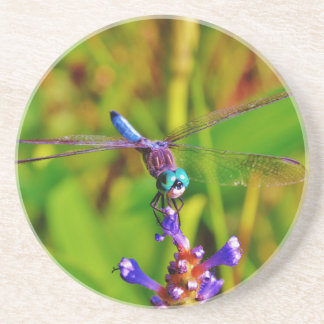 Teal Rainbow Dragonfly Underlägg