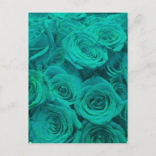 teal ro vykort